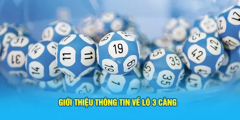 Giới thiệu thông tin về lô 3 càng